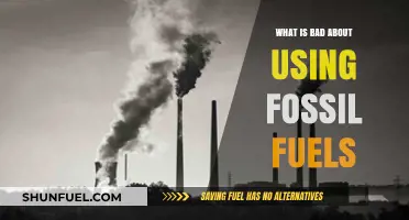 Fossil Fuels' Dark Side: Environmental, Health, and Climate Impacts Explained