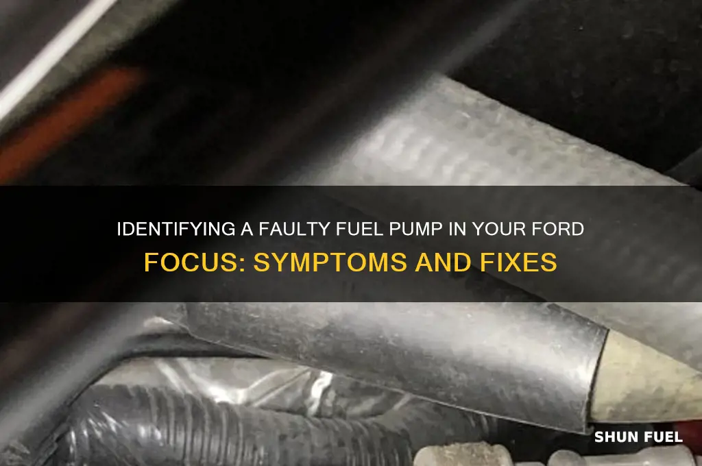 what is bad fuel pump on ford focus