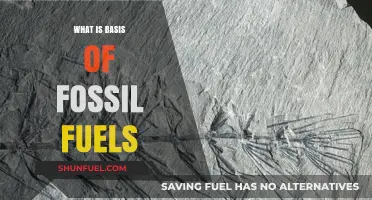 Understanding the Ancient Origins of Fossil Fuels: A Comprehensive Guide