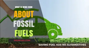 Addressing Fossil Fuels: Global Efforts and Sustainable Alternatives in Action