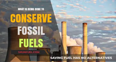 Sustainable Strategies: Global Efforts to Preserve and Reduce Fossil Fuel Use