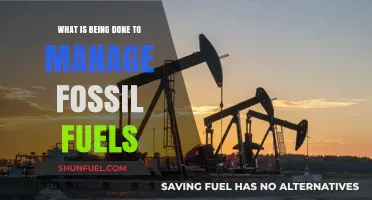 Managing Fossil Fuels: Current Strategies for a Sustainable Energy Transition