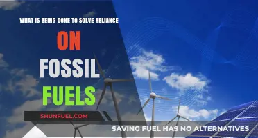 Transitioning Beyond Fossil Fuels: Global Efforts and Sustainable Solutions