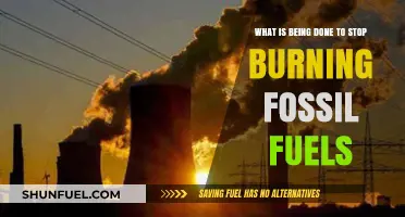 Global Efforts to End Fossil Fuel Dependence: Strategies and Progress
