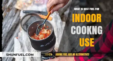 Best Fuel for Indoor Cooking: Safety, Efficiency, and Eco-Friendly Options