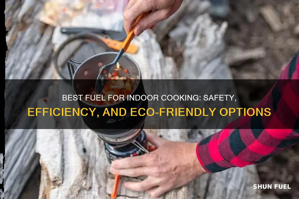 what is best fuel for indoor cookng use
