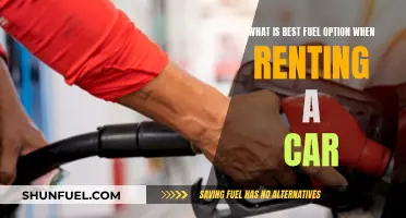 Best Fuel Options for Car Rentals: A Guide to Saving Money