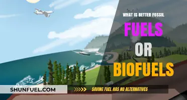 Fossil Fuels vs. Biofuels: Which Energy Source Powers a Greener Future?
