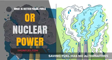 Fossil Fuels vs. Nuclear Power: Which Energy Source is Superior?