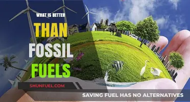 Sustainable Energy Alternatives: Surpassing Fossil Fuels for a Greener Future