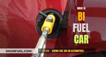 Understanding Bi-Fuel Cars: Flexibility and Efficiency Explained