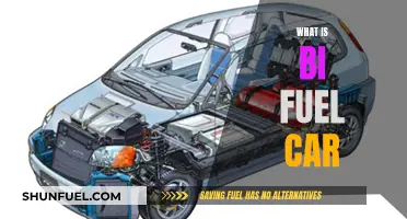The Evolution of Bi-Fuel Cars: Powering the Future