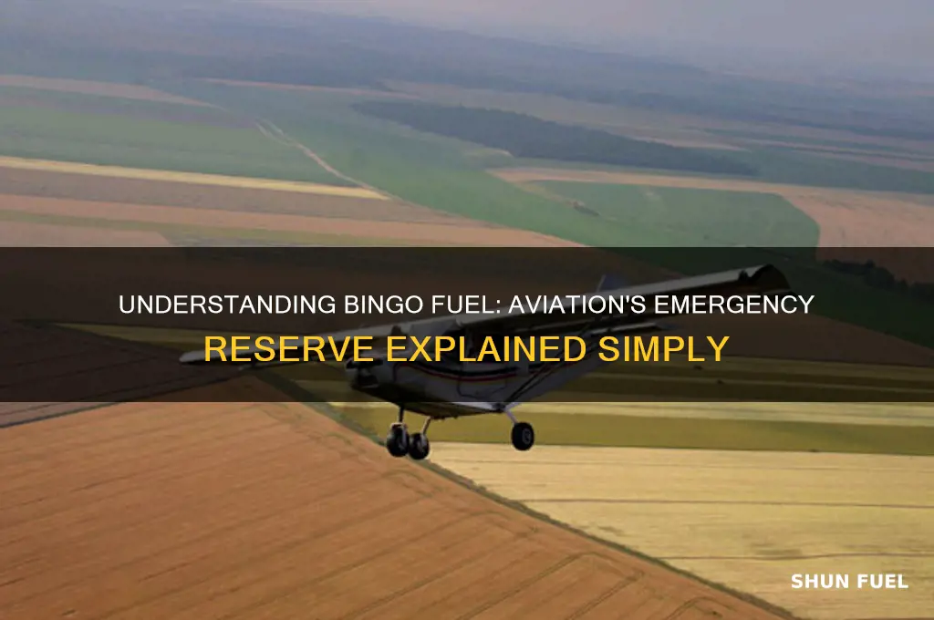 what is bingo fuel