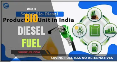 Biodiesel Fuel: Sustainable Energy Source for the Future