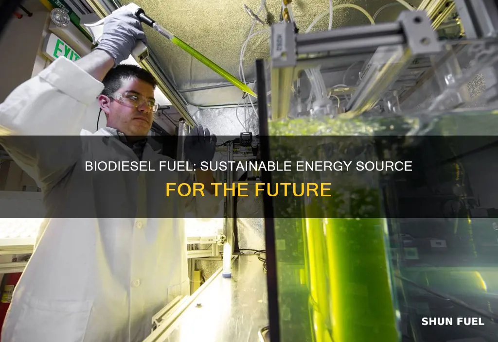 what is bio diesel fuel