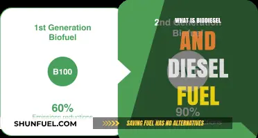 Biodiesel and Diesel Fuel: What's the Difference?