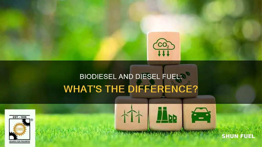 what is biodiesel and diesel fuel