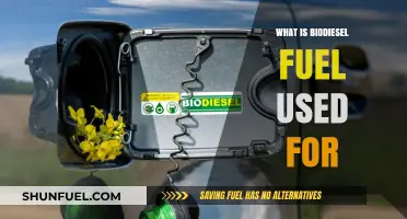 Exploring Biodiesel Fuel: Uses, Benefits, and Applications in Modern Energy