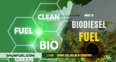 Understanding Biodiesel Fuel: A Sustainable Alternative to Fossil Fuels