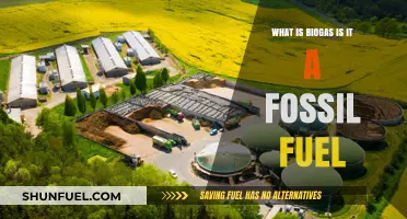 Is Biogas a Fossil Fuel? Unraveling the Renewable Energy Mystery