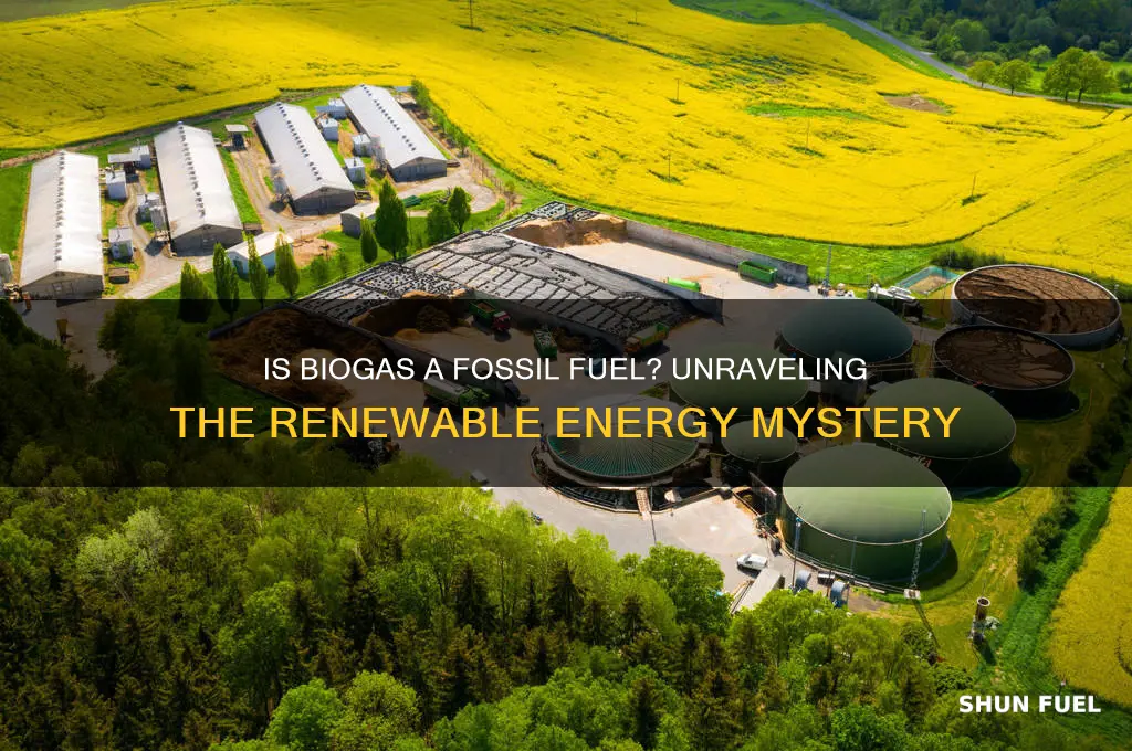 what is biogas is it a fossil fuel