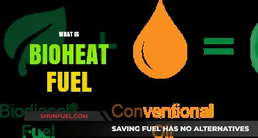 Understanding Bioheat Fuel: Eco-Friendly Heating for Modern Homes