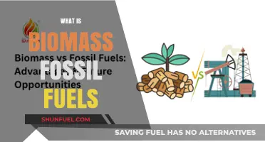 Understanding Biomass and Fossil Fuels: Origins, Uses, and Environmental Impact