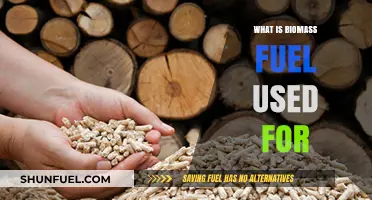 Exploring Biomass Fuel: Uses, Benefits, and Applications in Energy