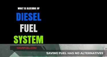 Understanding Diesel Fuel System Bleeding