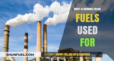 Burning Fossil Fuels: Powering Industries, Transportation, and Daily Life