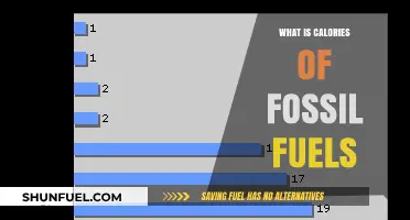 Understanding the Energy Content: Calories in Fossil Fuels Explained