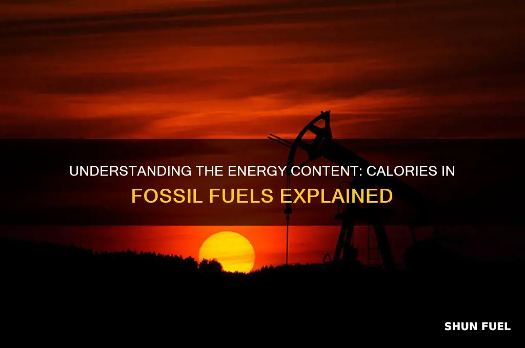 what is calories of fossil fuels
