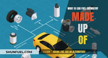 Unveiling the Complex Composition of Car Fuel Chemistry