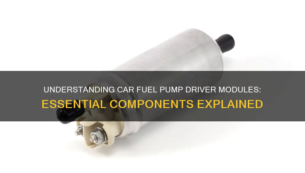 what is car fuel pump driver module