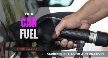 The Evolution of Car Fuel: Past, Present, and Future