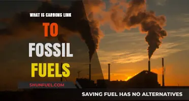 Carbon's Role in Fossil Fuels: Uncovering the Essential Connection