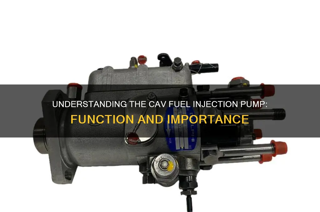 what is cav fuel injection pump