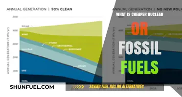 Nuclear vs. Fossil Fuels: Which Energy Source Costs Less?
