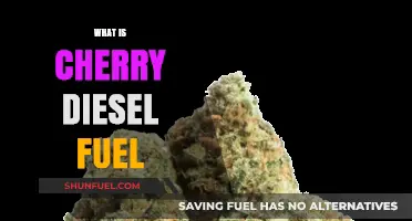 Cherry Diesel Fuel: A Sweet, Powerful Blend