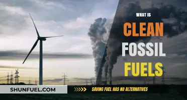 Exploring Clean Fossil Fuels: Innovations for a Sustainable Energy Future