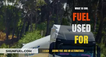 Understanding CNG Fuel: Applications and Benefits in Modern Transportation