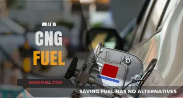 Understanding CNG Fuel: Benefits, Uses, and Environmental Impact Explained
