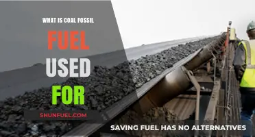 Exploring Coal's Uses: Power Generation, Industry, and Beyond