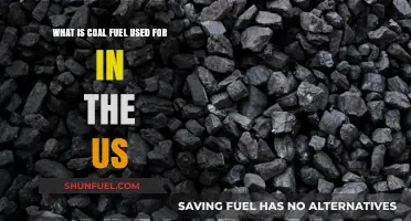 Coal Fuel in the US: Uses, Importance, and Modern Applications