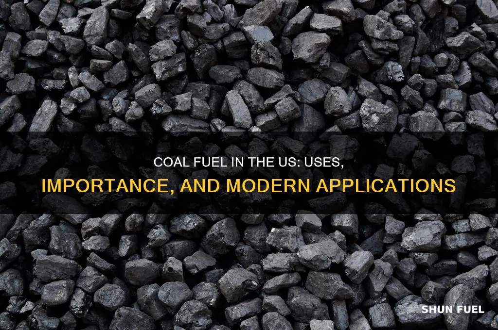 what is coal fuel used for in the us