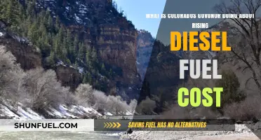 Colorado Governor's Action Plan for Soaring Diesel Prices