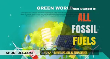 Unveiling the Shared Origins and Composition of All Fossil Fuels