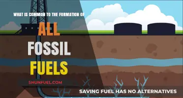 The Shared Origins of Fossil Fuels: A Geological Journey