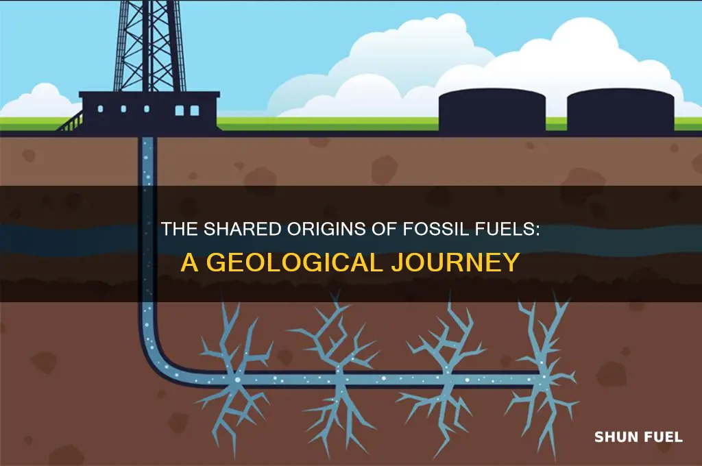 what is common to the formation of all fossil fuels