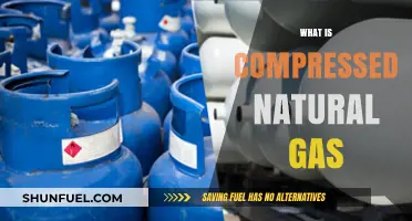 Exploring Compressed Natural Gas: A Sustainable Energy Solution